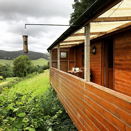 Cabin Pren , Darowen , Machynlleth公寓 外观 照片