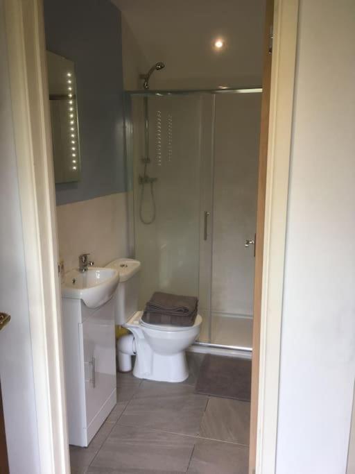 Cabin Pren , Darowen , Machynlleth公寓 外观 照片