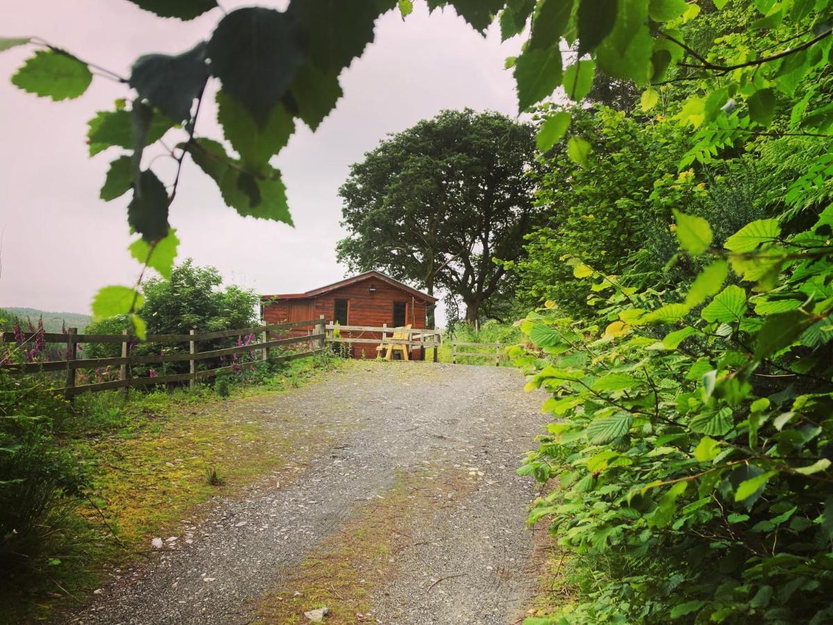 Cabin Pren , Darowen , Machynlleth公寓 外观 照片